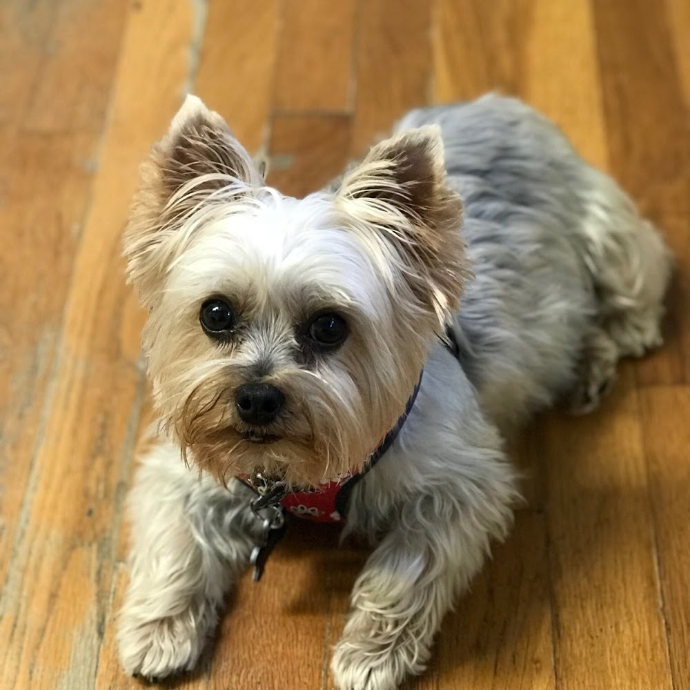 Meet your Posher, Jeffrey